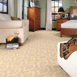 Shaw Bedroom Carpet
